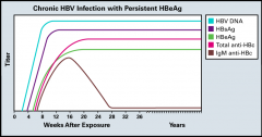 HBsAg >6mnth
Anti-HBc IgG
(+/- eAg/anti-eAg, c IgM)