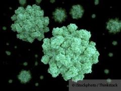 ROTAvirus (front pic) & NOROvirus (pic)