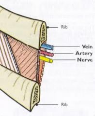 intercostal arteries (followed by intercostal nerve and vein- run in intercostal groove)