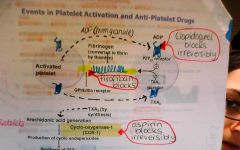 irreversible blocks COX 
COX  ⇏ TXA2  ⇏ GPllb/llla receptors for fibrin  ⇏ platelet aggregation 

reduce PLATELET AGREGGATION