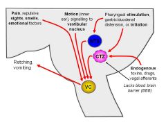 release 5-HT from ENTEROCHROMAFFIN cells lining gut → 5-HT receptors in gut → vagal afferent → signal to CTZ