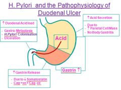 H.pylori reduces somatostatin release from D cells 
G cells → gastrin → parietal cells → HCl