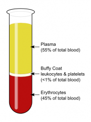 Buffy coat is present at the junction between the erythrocytes and the plasma. It contains leukocytes & thrombocytes .