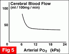 Cerebral blood flow pO2