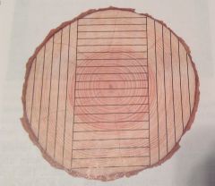 What lumber-cutting method is this?