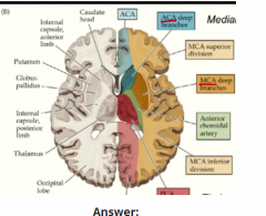 How can you tell by the structures around it that the interior limb carried limbic information to the frontal cortex and cerebellar information to and from the frontal cortex?