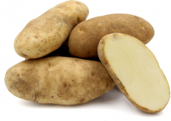Potato, Russet