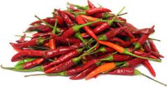 Thai Chili Pepper