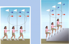 Ein einzelner Ausschnitt aus dem Blickfeld kann falsche Informationen über Bewegungsrichtung liefern