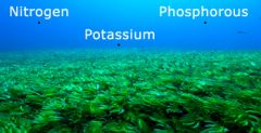in the ocean this refers to the amount of nitrates, phosphorous, iron, and silica, etc. in the water, no nutrients = low productivity!