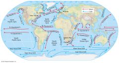 masses of water that flow through the ocean, include surface and deep currents