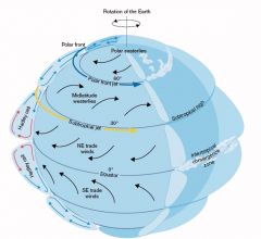 due to Earth's rotation, gyres in the northern hemisphere rotate clockwise, in southern hemisphere counter clockwise