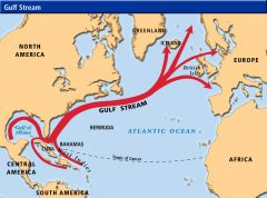 part of the North Atlantic Gyre that carries warm water from equator to Northern Hemisphere, helps keep Europe warmer
