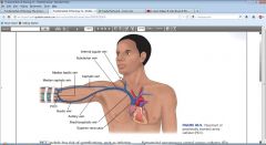 -Internal jugular vein, subclavian vein, & femoral vein (last choice)