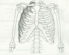 Inferior border of rib above