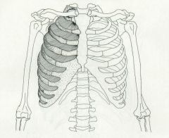 Inferior border of rib above