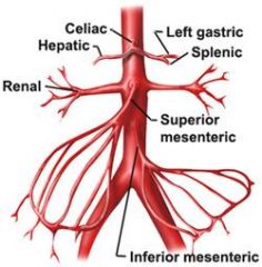 Left Gastric Artery, Splenic Artery, Common Hepatic Artery