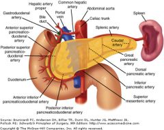 - inferior along postero-medial duodenum
- toward antero-lateral surface of pancreas head