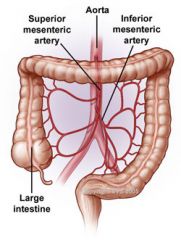 - caudally
- parallel to aorta
- posterior to pancreatic neck
- anterior to uncinate process of pancreas