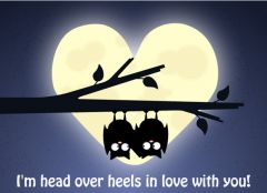 Head over heels in love with