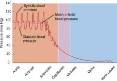 Diminished blood pressure which is why you need to push it up as you get to the venules and veins