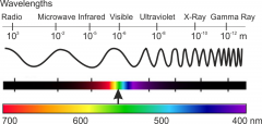the spectrum of radiation according to wavelength, includes x rays, visible light, infrared, and radio