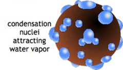 particle that water can precipitate onto, incudes dust, smoke, salt, bacteria