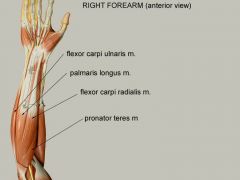 Flexion and abduction at wrist