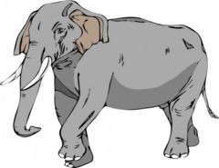 29.  What standard unit would you use to weight very large objects, like a truck or an elephant?