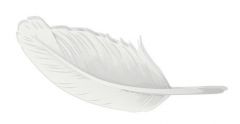 30.  What metric unit is about the weight of a feather?