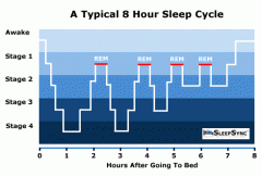 Stage 1- very light sleep, generally only a few minutes long


Stage 2- deeper sleep, lasts for 10-20 mins


Stage 3- initial stage of deep sleep, 15-30 mins


Stage 4- Deepest sleep, 15-30 mins


REM- Difficult to awaken, cog. restoration takes p...