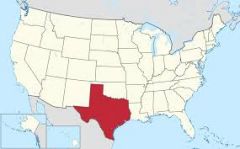 texas is a large state in the southern U.S with deaserts , pine
 forests and rion grande .