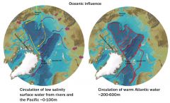 Arktiska havet är indelat i flertalet mer eller mindre djupa bassänger som påverkar cirkulationen. Trösklarna vid Island snörper av havet från Atlanten och gör att det fungerar ungefär som Medelhavet.