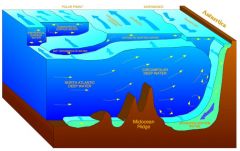 Antarktiskt bottenvatten är det tyngsta havsvattnet i världen och finns i alla havsbassänger på djup under 4000 m om de har en koppling till Antarktisk bassängerna. Har temp från -0.8-2 grader och en salthalt på 34.6-34.7 psu.