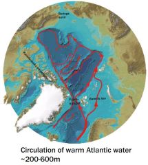 Temperaturen på det inflödande Atlantenvattnet varierar men man har observerat pulsar av varmare vatten som man kan följa på dess väg runt Arktis.