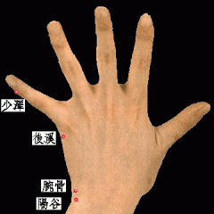 小指末節尺側，指甲角側上方0．l寸