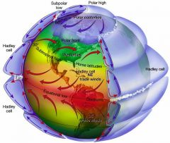 from the Equator to 30 degrees North or South, air rises at the Equator and descends at 30 degrees North or South