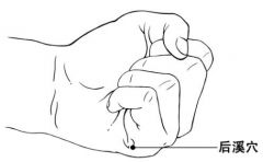位于人體的手掌尺側，微握拳，當第5指掌關節後的遠側掌橫紋頭赤白肉際