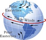 wind moves east to west around North and South poles due to Polar Convection Cells