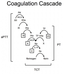 aPTT assesses intrinsic coagulation

PT assesses extrinsic coagulation

TCT assess the ability of fibrinogen to convert to fibrin