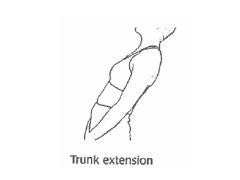 Straightening the trunk/baack (bending backwards)
