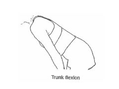 Bending the trunk/back (reaching down to touch your toes)