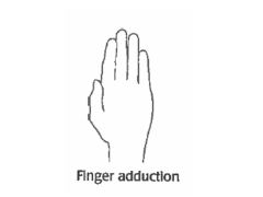 Moving your fingers in/towards each other