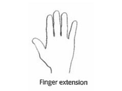 Straightening your fingers