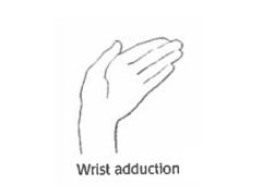 Moving the wrist towards the body (toward the pinky)