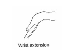 Straightening the wrist (moving it backwards)