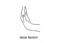 Bending the wrist (moving it forward)