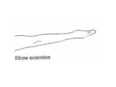 Straightening the elbow