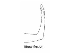 Bending the Elbow