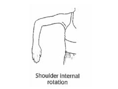 Rotating the shoulder inward/towards the body